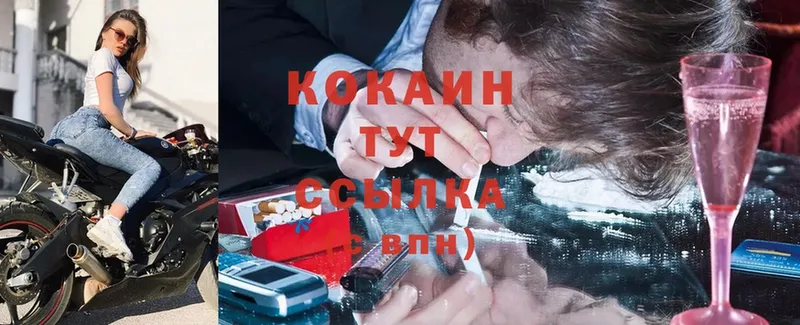 купить закладку  Цоци-Юрт  МЕГА tor  Cocaine Перу 